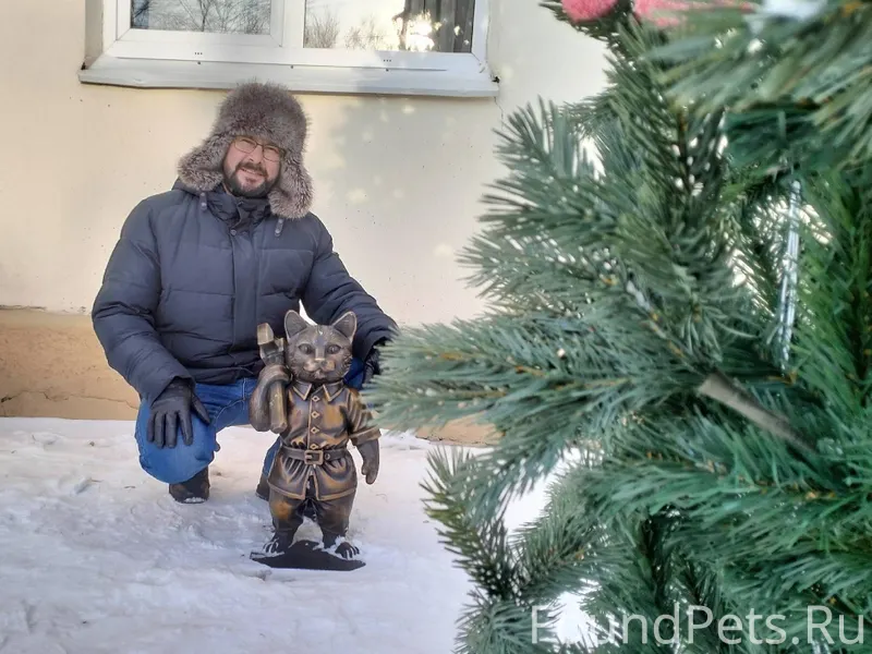 Котики найдены. Вот только поч...