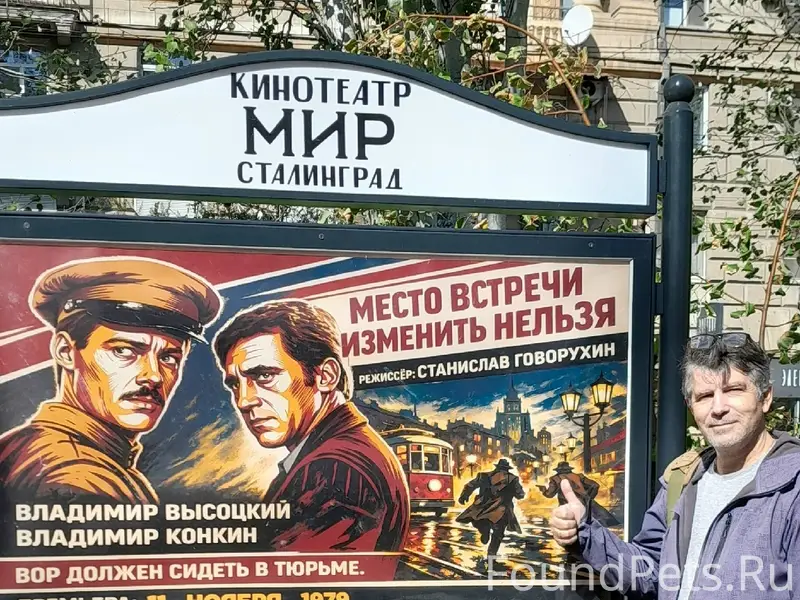 Найдена чёрная кошка