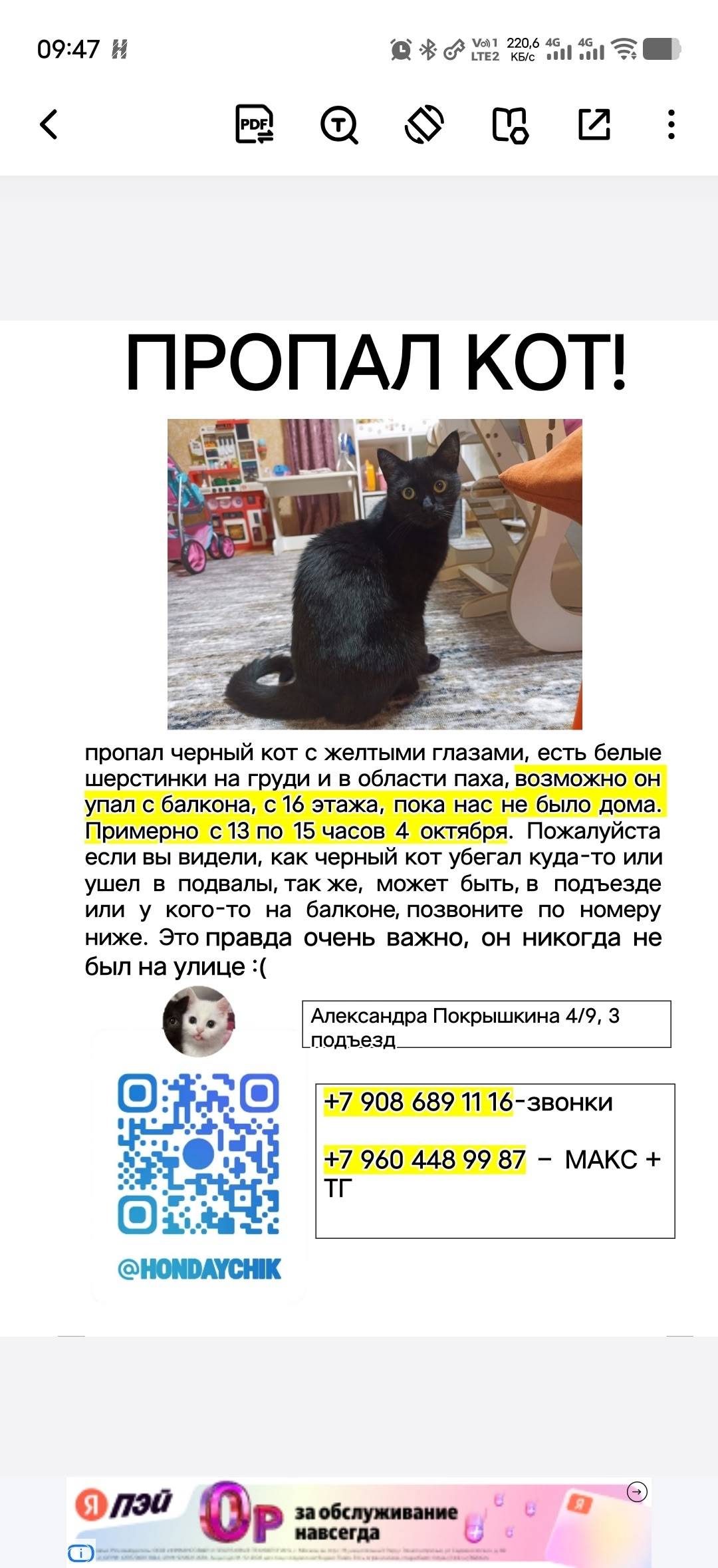 Пропал чёрный кот, ул. Александра Покрышкина
