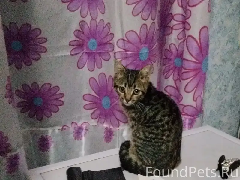 Помогите нам  он друг семьи 
