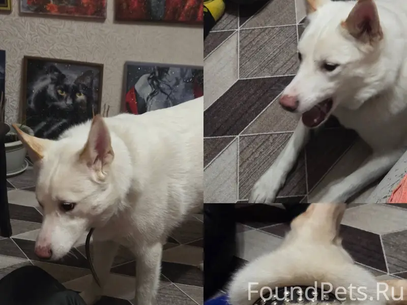 Друзья! Пожалуйста максимальны...