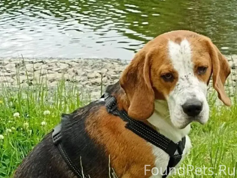 Друзья, нужна ваша помощь👇 ПРО...