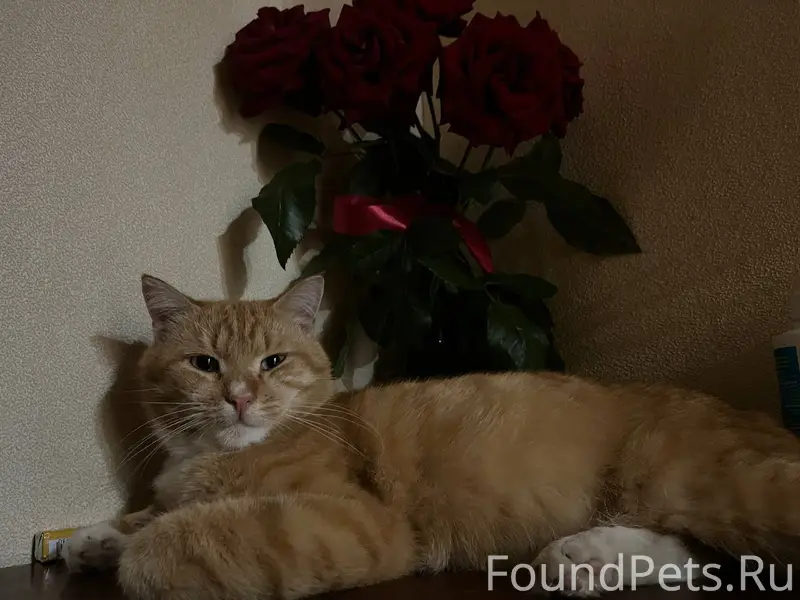 #ОтПодписчика В районе улицы У...