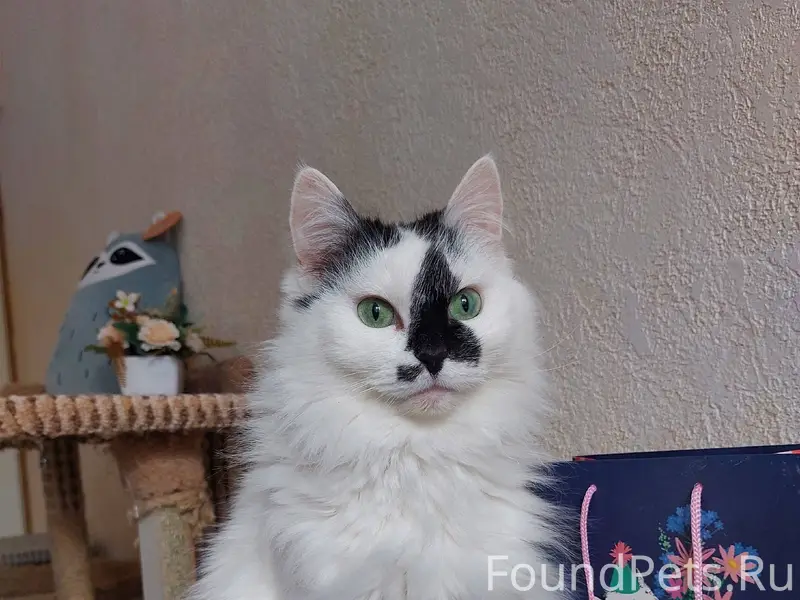 Уфа! Холли очень хочет домой! ...