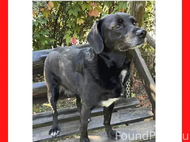 Дорогие друзья, помогите пожал...