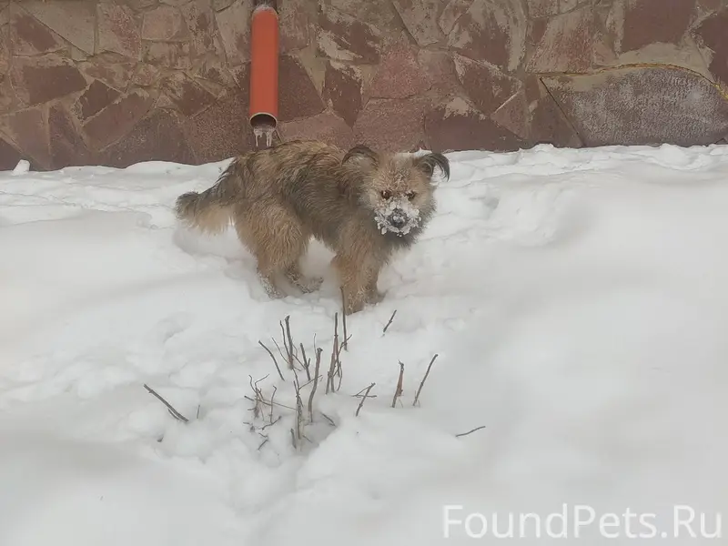 Здравствуйте, во дворах и возл...