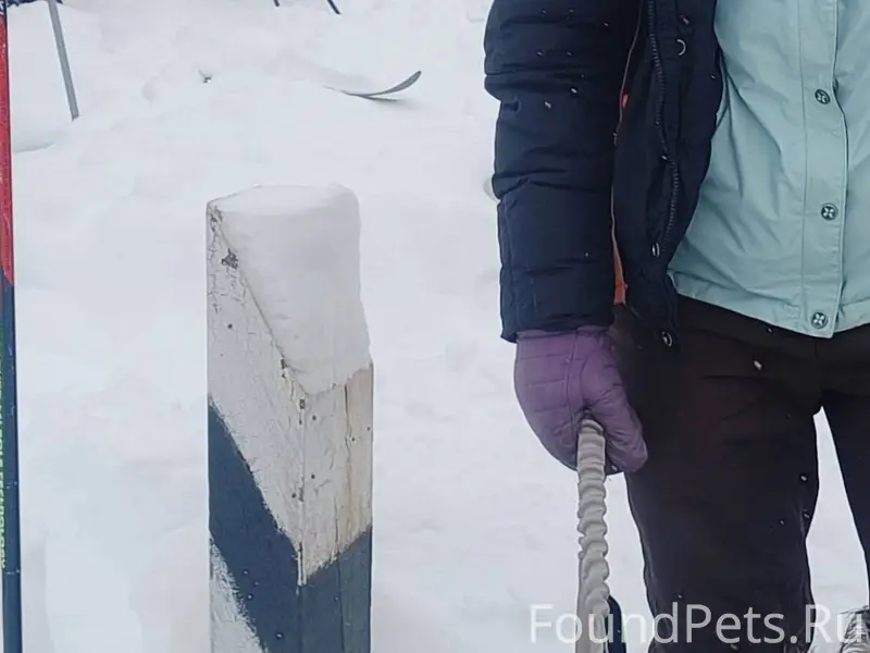Улыбышево. Сегодня недалеко от...