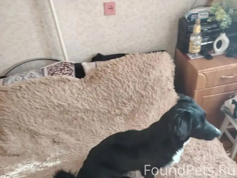 Помогаем информационно📣 Потеря...