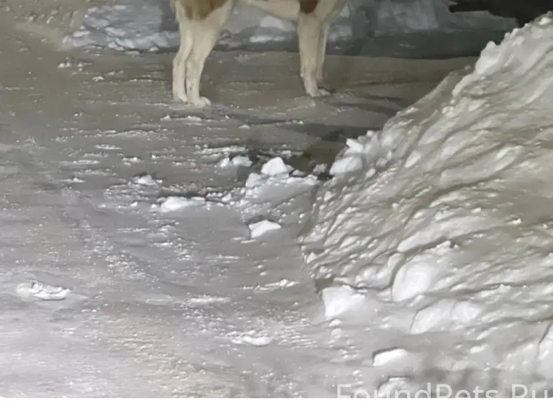 Вчера в районе Комсомольской П...