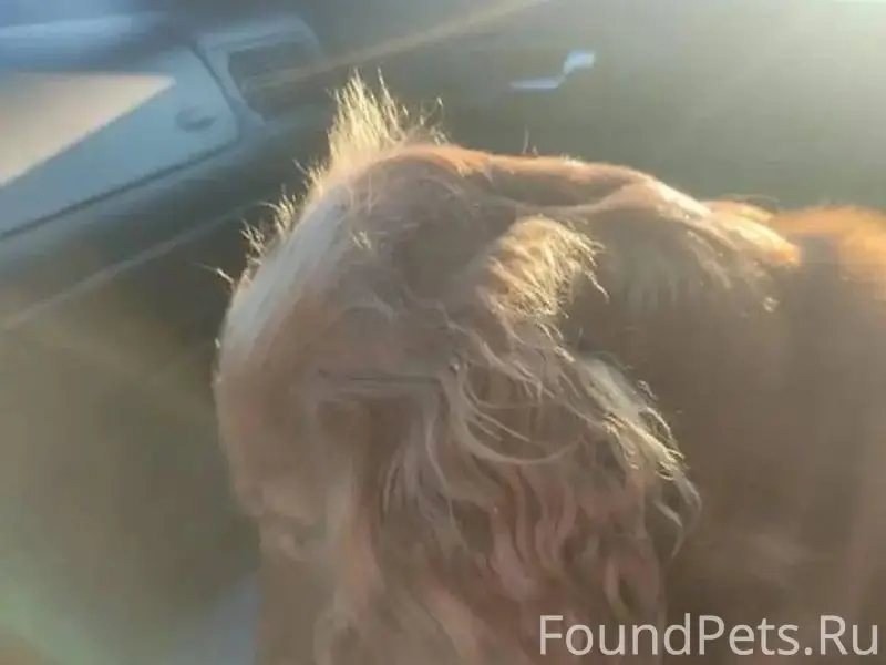 Помогаем информационно "Найден...