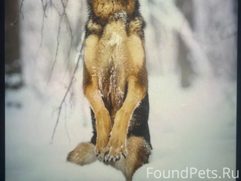 Добрый вечер! Большая просьба ...