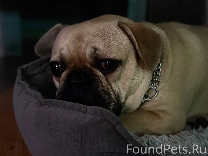 В районе 50 лет ссср 31...