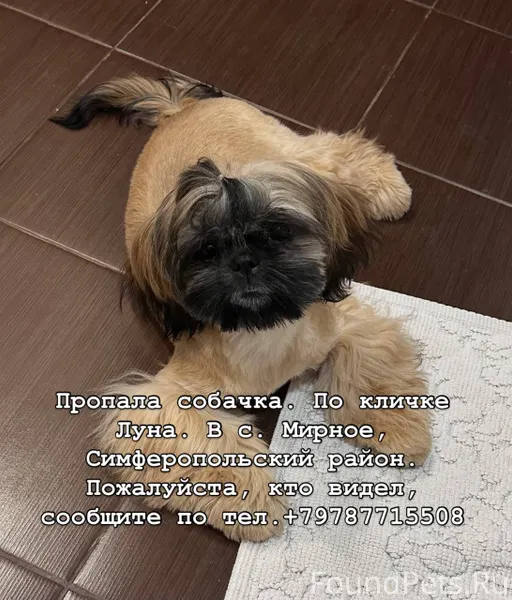 Друзья, прошу вас о максимальн...