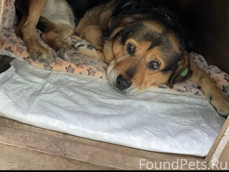 Пожалуйста, помогите найти соб...