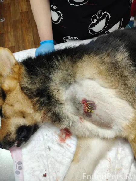 ⚡️⚡️⚡️⚡️⚡️⚡️⚡️⚡️ Нельзя остава...