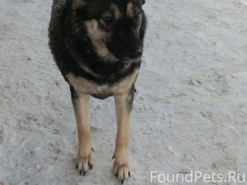 Друзья, помогите распространит...