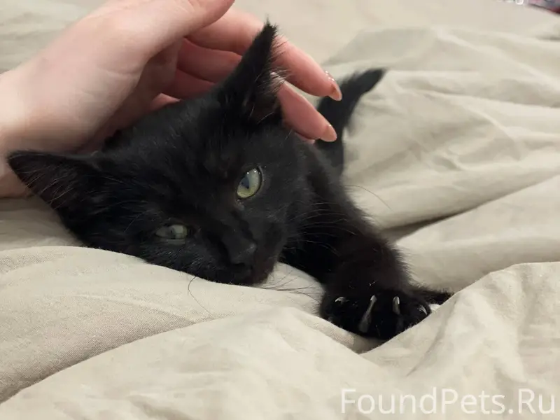 Всем доброго времени суток! Не...