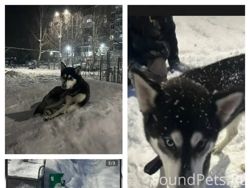 Добрые люди, помогите в распро...