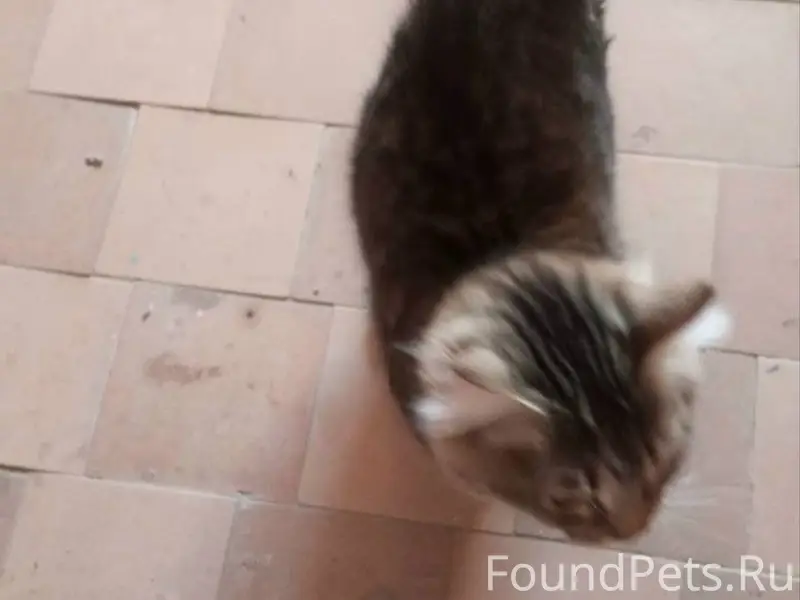 Андрианова 5 в 1 подъезде на.....