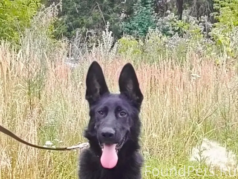 Здравствуйте уважаемые, произо...