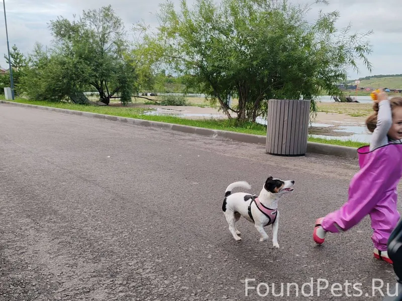 Здравствуйте, помогите найти. ...