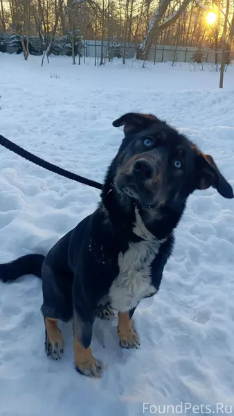 Сегодня, 10.02.2026 г в...