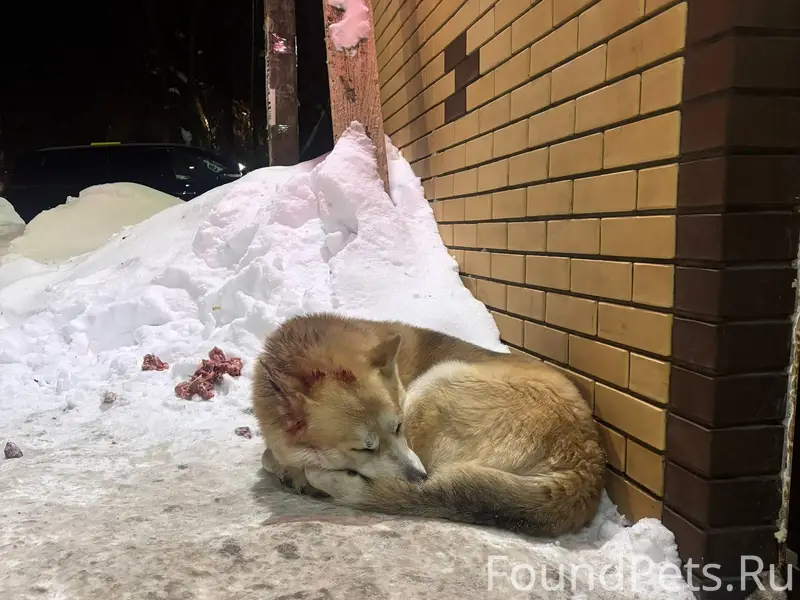 Люди добрые, неравнодушные, че...