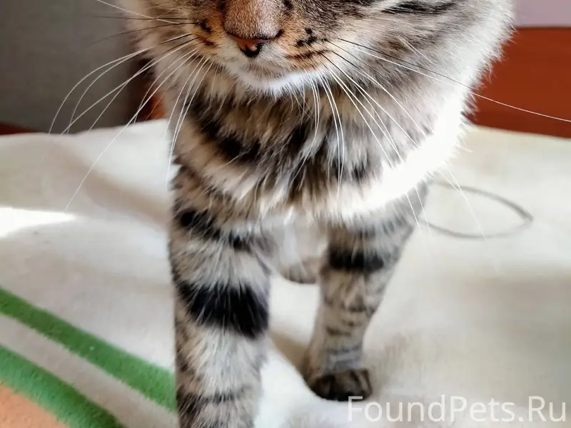 В воскресенье 08.02. ночью про...