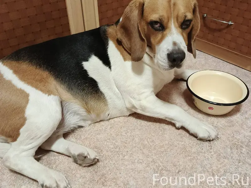 Прошу, опубликуйте, пожалуйста...