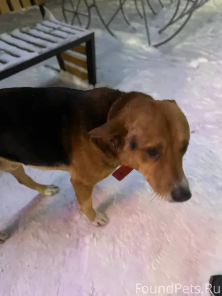 Сегодня возле Депо был найден ...