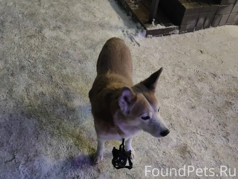 ЗАМЕЧЕН https://vk.ru/nichalen...