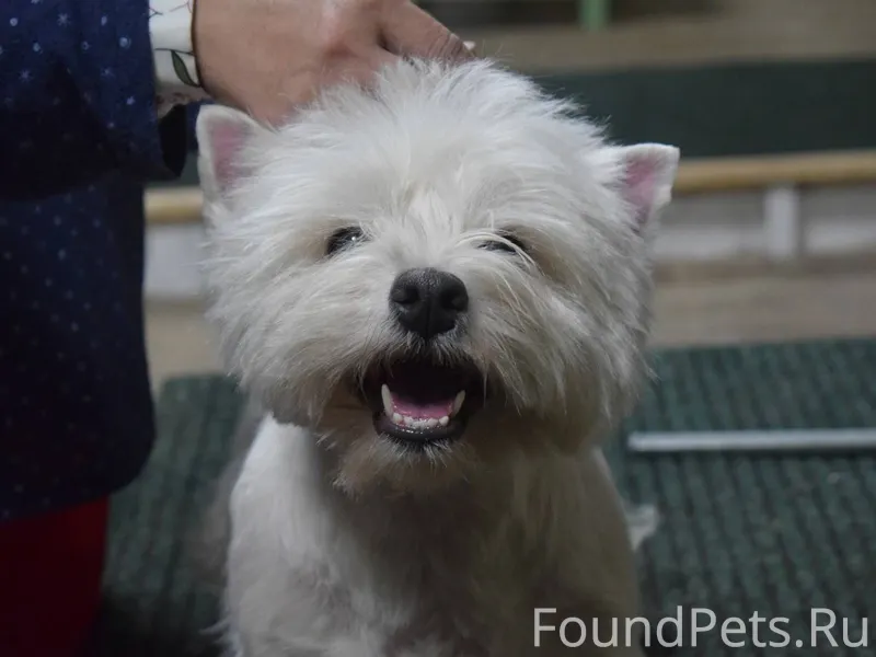 Доброго времени. Красноярск, в...