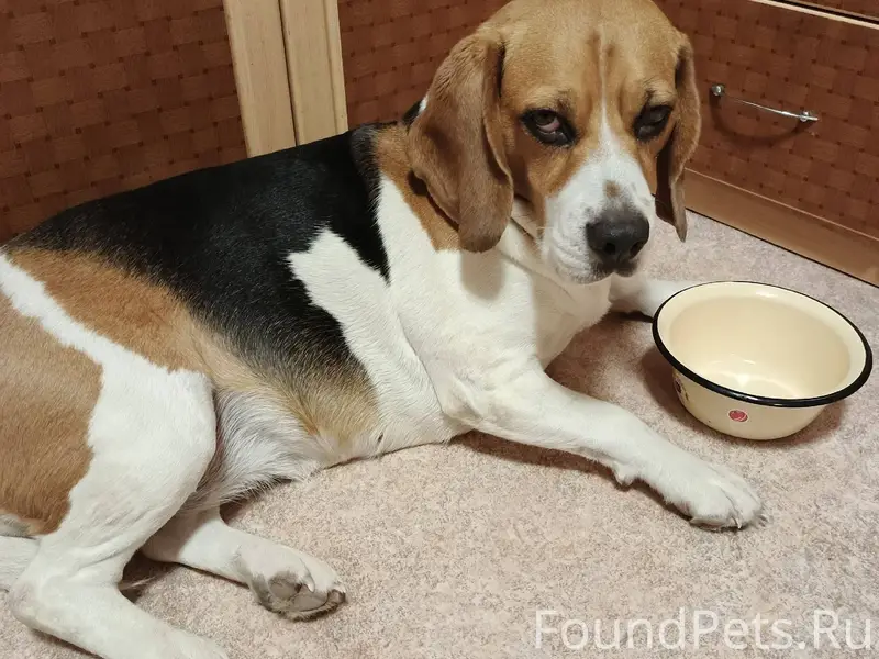 Друзья, может быть кто-то виде...