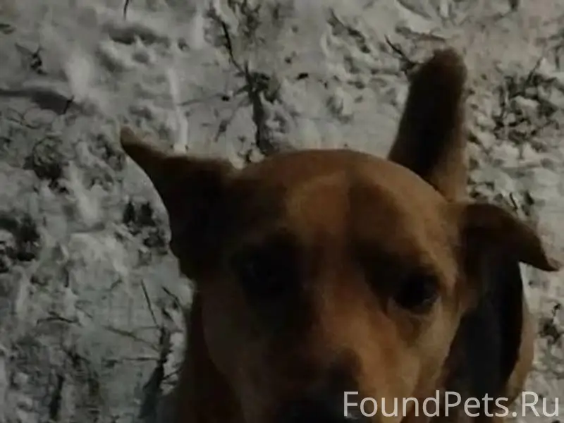 SOS! Прощу помощи у всех нерав...