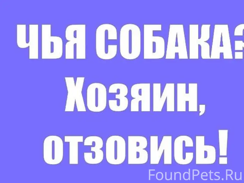 Доброго вечера. В Ликино-Дулев...