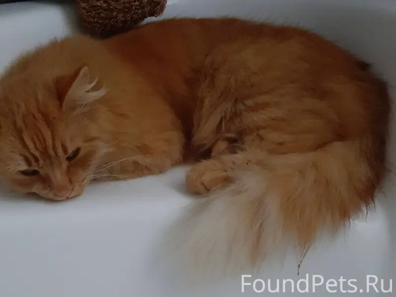 #Черныйсписок #Ржев ‼️❗️ПРОПАЛ...