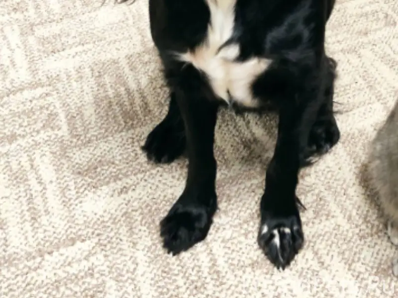 В г. Заволжье в районе Луначар...