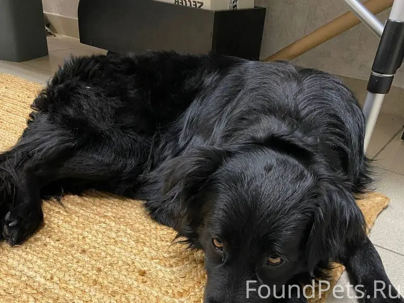 Вчера как мы возвращались домо...