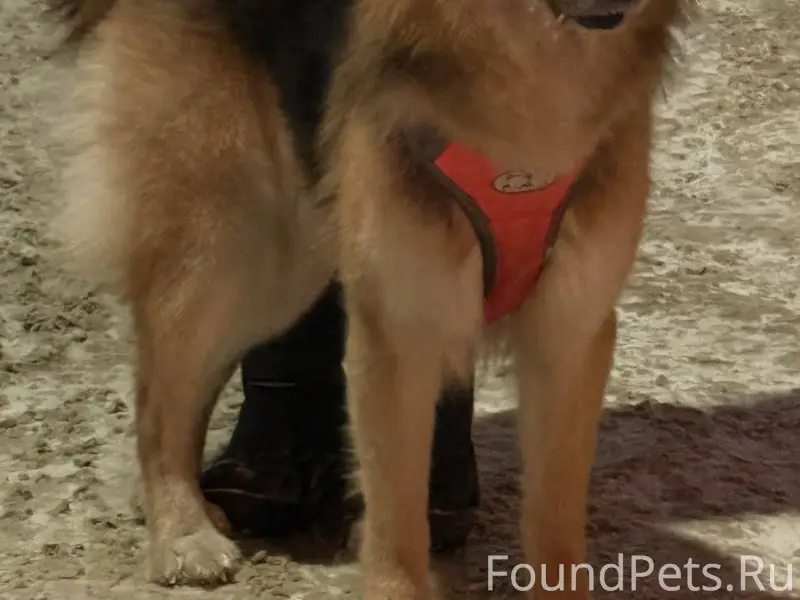 Вчера вечером в 19 часов вечер...