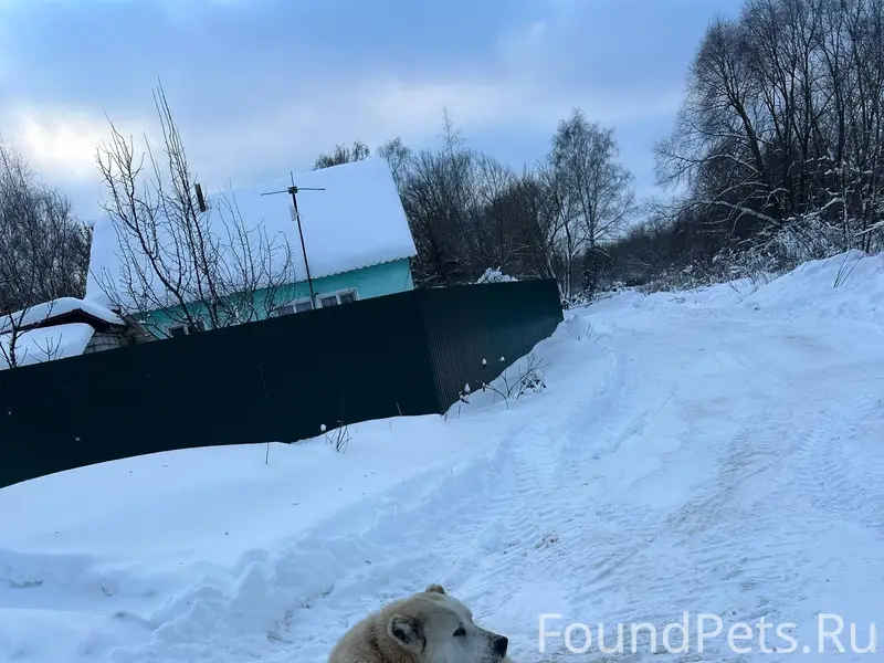 У переезда в донском второй де...