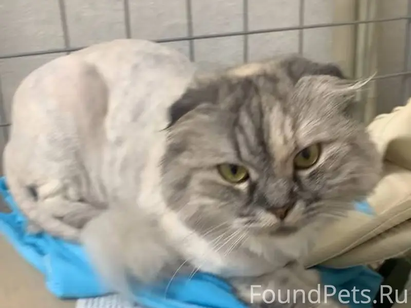 Всем добрый день! ПОМОГИТЕ НАЙ...