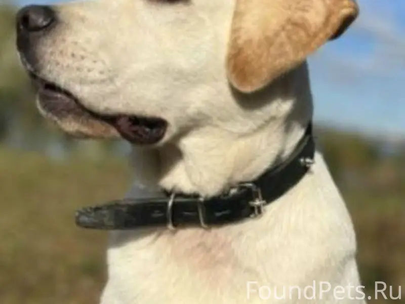 Внимание❗г. Владимир! 10 февра...