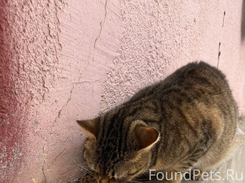 По адресу Приборостроительная,...