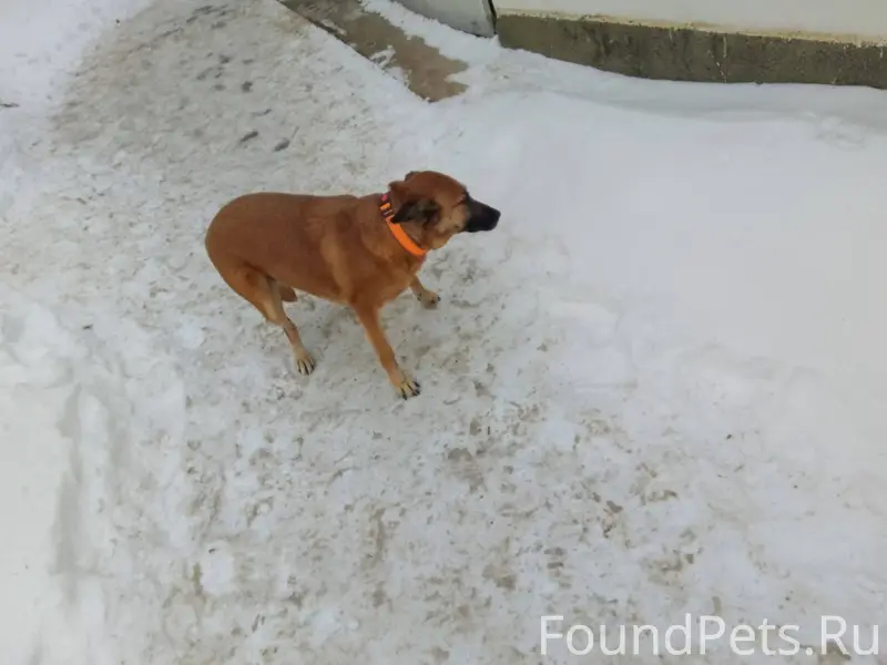 На Ленина 49 со стороны пятëро...