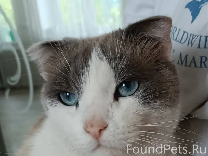 🙏Не теряем надежды найти своег...