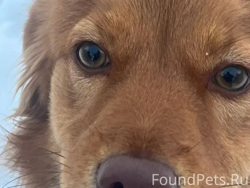 Пожалуйста🙏🙏🙏 максимальный реп...