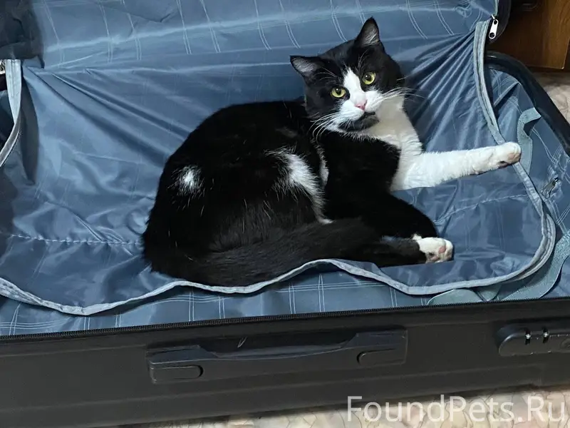 ‼️ В понедельник (09.02.26г...