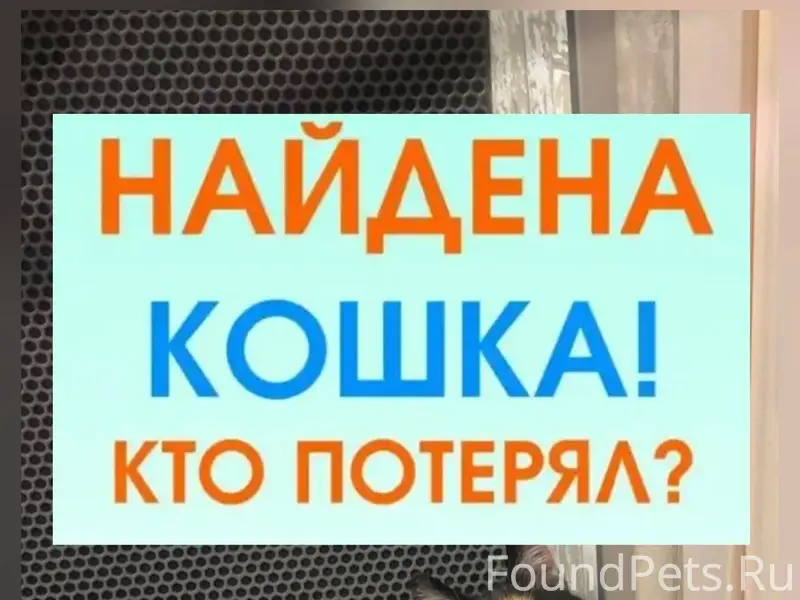 ‼️‼️‼️ВНИМАНИЕ!‼️‼️‼️ Помогаю ...