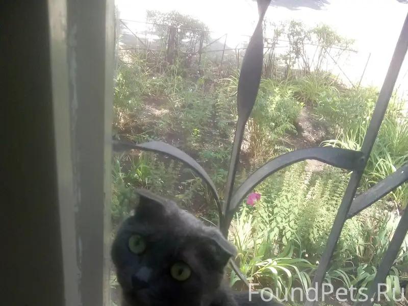 3его февраля, в районе Петра С...