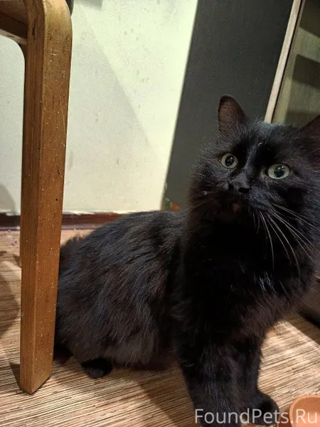 Всем доброго времени суток! Се...